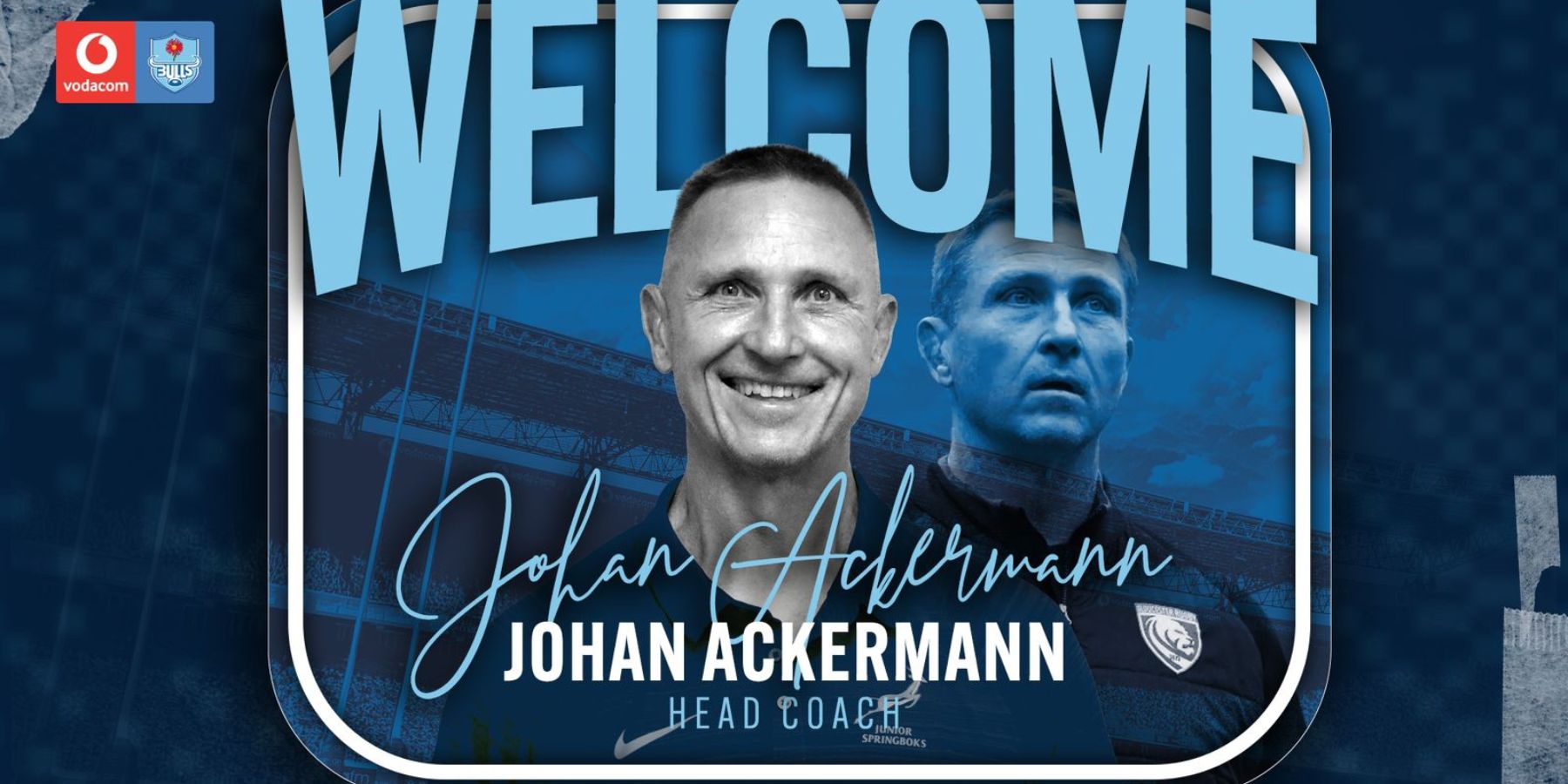 Johan Ackermann appointed Bulls Head Coach